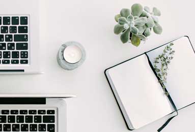 樊振东正式亮相德甲 8月31日迎首秀