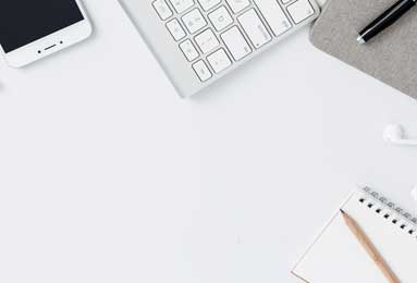 樊振东正式亮相德甲 8月31日迎首秀